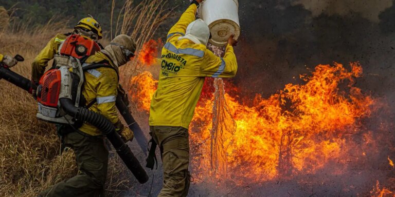 brigadas-controlam-dois-dos-tres-incendios-na-chapada-dos-veadeiros