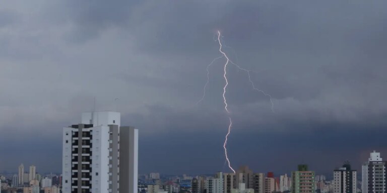 SP registra desabamentos e quedas de árvore por chuva forte sp-registra-desabamentos-e-quedas-de-arvore-por-chuva-forte
