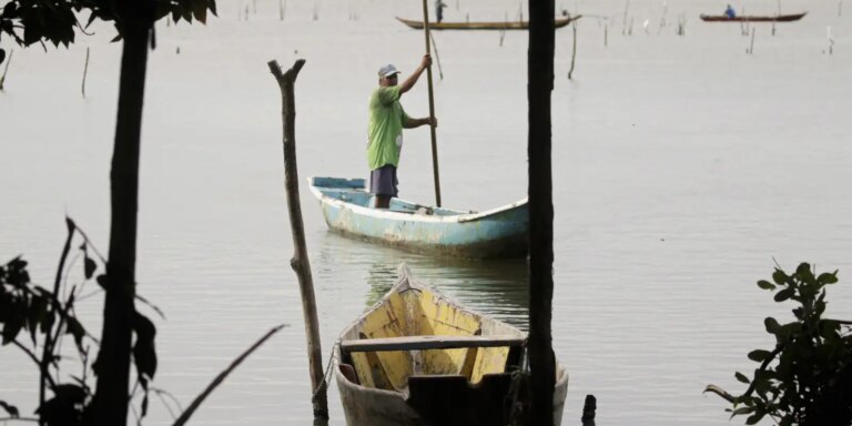Seguro-defeso começa a ser pago dia 17; primeira etapa soma R$ 76 mi seguro-defeso-comeca-a-ser-pago-dia-17;-primeira-etapa-soma-r$-76-mi