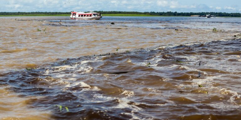 Força-tarefa segue buscas por desaparecidos de naufrágio em Manaus forca-tarefa-segue-buscas-por-desaparecidos-de-naufragio-em-manaus