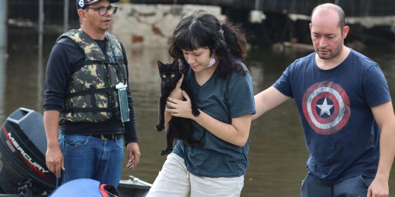 Senado aprova política de proteção a animais resgatados em desastres senado-aprova-politica-de-protecao-a-animais-resgatados-em-desastres