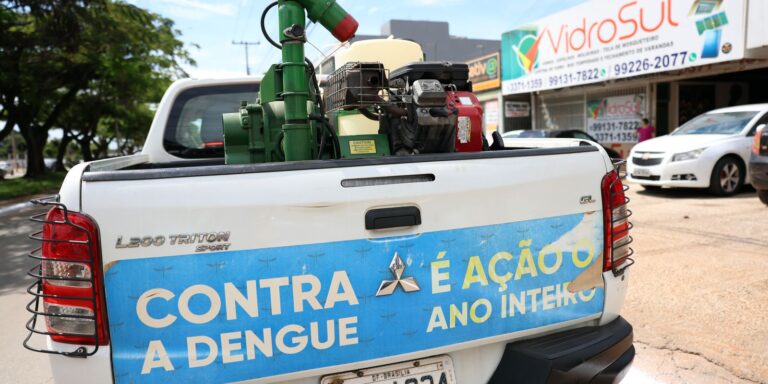 Casos de dengue registram queda de 75% nos primeiros meses de 2026 casos-de-dengue-registram-queda-de-75%-nos-primeiros-meses-de-2026