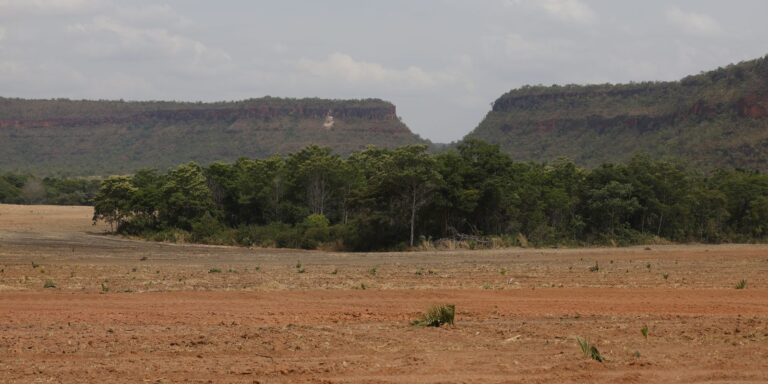 fragmentos-de-vegetacao-nativa-cresceram-no-pais-260%-em-38-anos