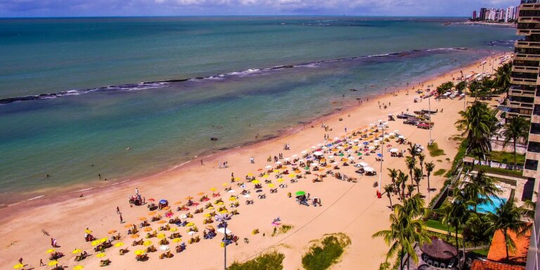 Pernambuco volta a monitorar tubarões na orla após 10 anos pernambuco-volta-a-monitorar-tubaroes-na-orla-apos-10-anos