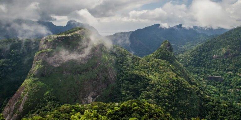 dois-cacadores-sao-presos-em-flagrante-no-parque-nacional-da-tijuca