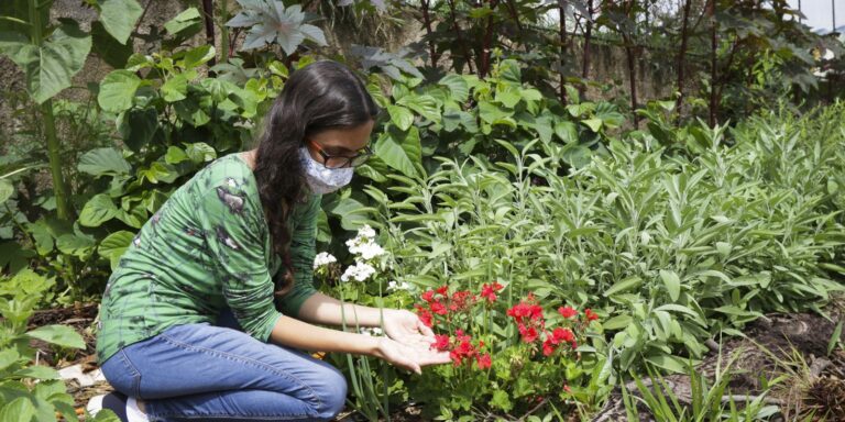 viva-maria-fala-sobre-plantas-medicinais-e-autocuidado
