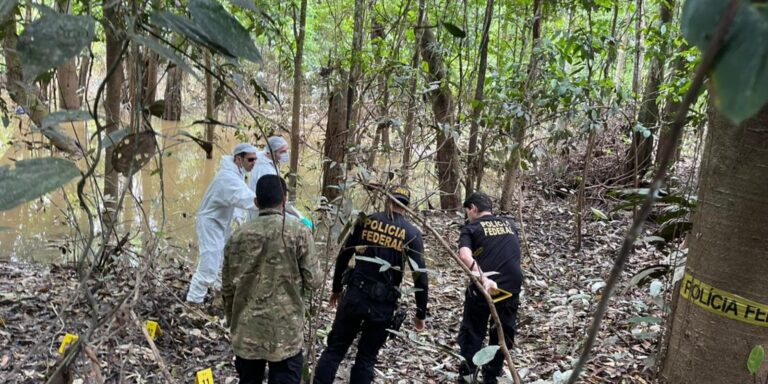 site-abriga-informacoes-atualizadas-sobre-assassinatos-de-dom-e-bruno