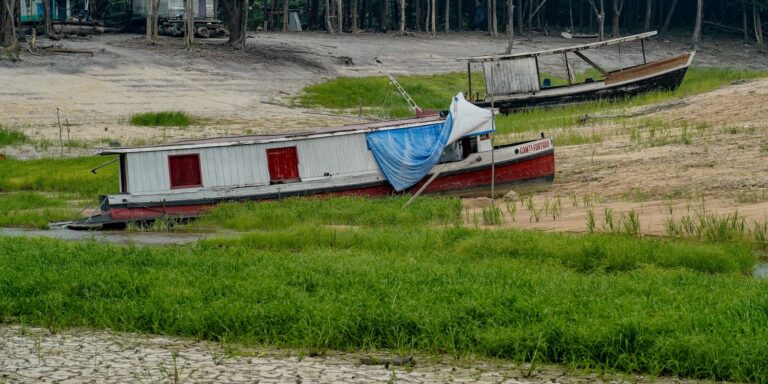 COP17 começa na Mongólia com foco em seca, terra e financiamento cop17-comeca-na-mongolia-com-foco-em-seca,-terra-e-financiamento