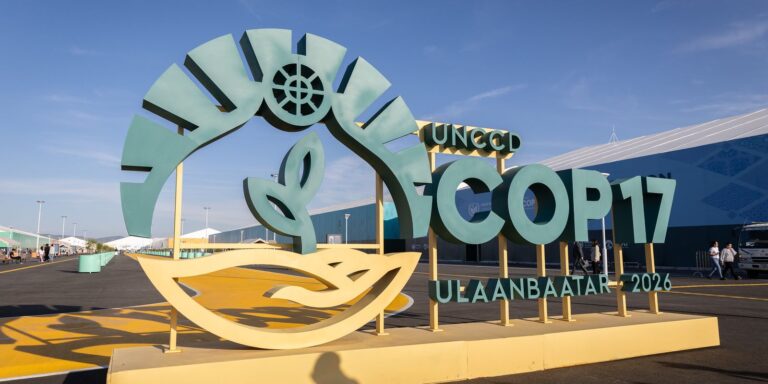 Estados do Nordeste tentam atrair investimentos para Caatinga na COP17 estados-do-nordeste-tentam-atrair-investimentos-para-caatinga-na-cop17