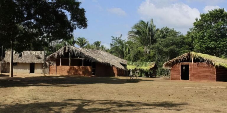 SUS ganha política de saúde integral para população quilombola sus-ganha-politica-de-saude-integral-para-populacao-quilombola