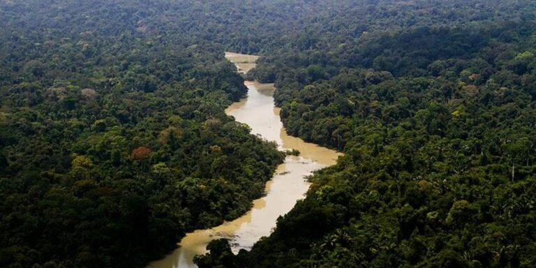 Viva Maria: uma mulher na linha de frente pela Amazônia viva-maria:-uma-mulher-na-linha-de-frente-pela-amazonia