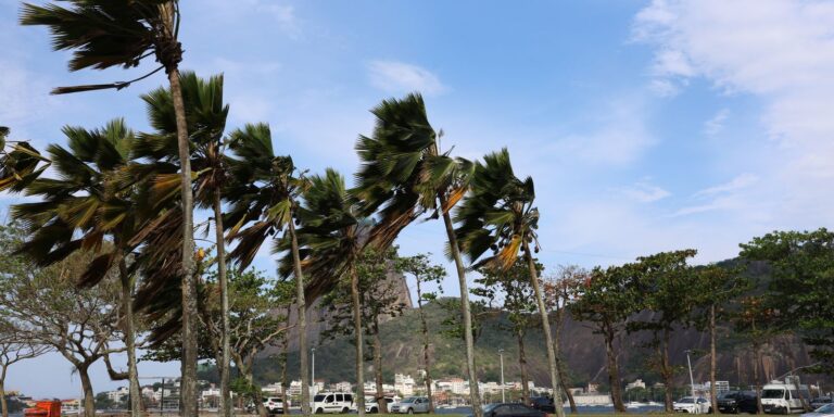 Defesa Civil alerta para ventos fortes na cidade do Rio defesa-civil-alerta-para-ventos-fortes-na-cidade-do-rio