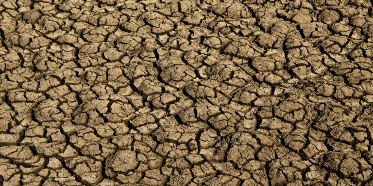 Seca provoca situação de emergência em 123 cidades do RN seca-provoca-situacao-de-emergencia-em-123-cidades-do-rn