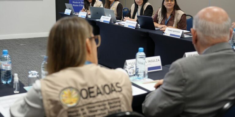 observadores-internacionais-chegam-ao-brasil-para-monitorar-eleicoes