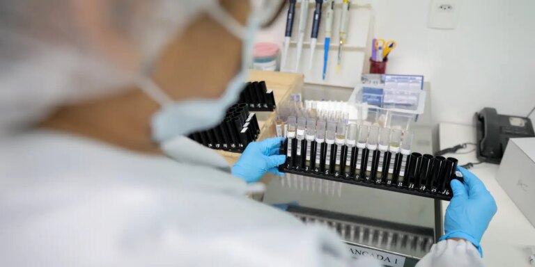 Vacina brasileira contra malária avança para testes em humanos vacina-brasileira-contra-malaria-avanca-para-testes-em-humanos